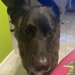 Meet your Posher, Ines